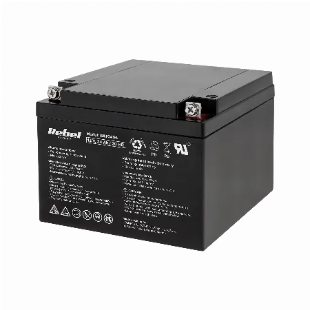 Acumulator Stationar Plumb Acid 12V 24AH Rebel